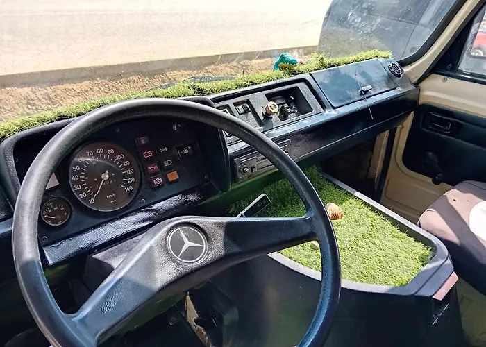 Canary For Drive, Near To Tfs Mercedes Mb *